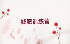 ѵӪа