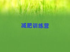 2025ɽѵӪ