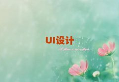 ϺֵѧUI