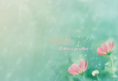 2025˺ʮ˰ѧУ