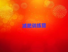 2025ɽѵӪҪǮ