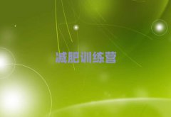 2025˴ħʽѵӪ