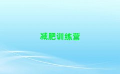 2025ϺʽѵӪ