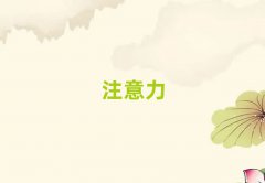 2025人̵ʮڻ