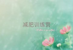 2024ˮѵӪŶǮ