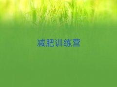 2025ͨʽѵӪ