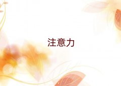 ̨ʮٶĶϰѵ¯
