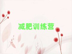 2025ʽѵӪ