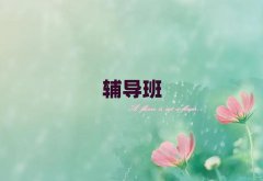 ͭ߿ȫѵѧУǰʮܹ