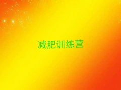 2024ͨɷռѵӪ