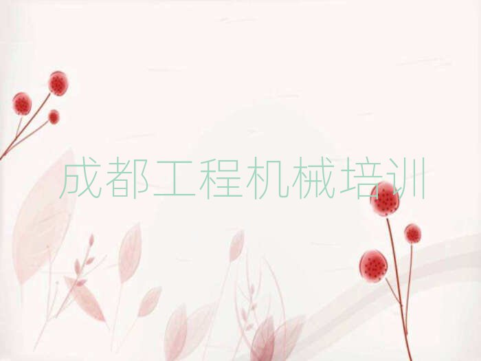 ɶ˫ȽϺõĲ泵֤ѧУǰʮ