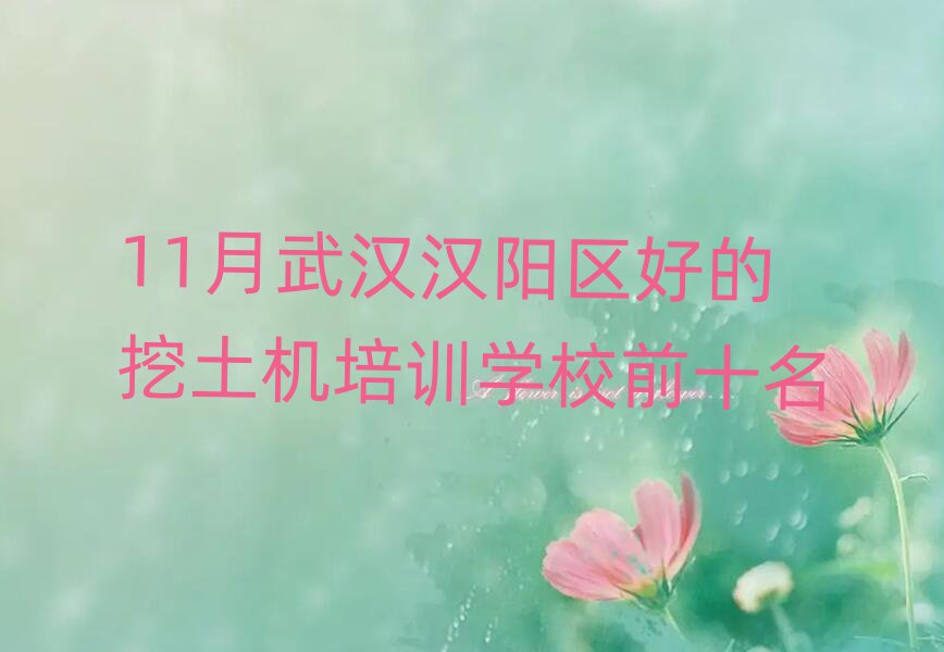 11人õѵѧУǰʮ