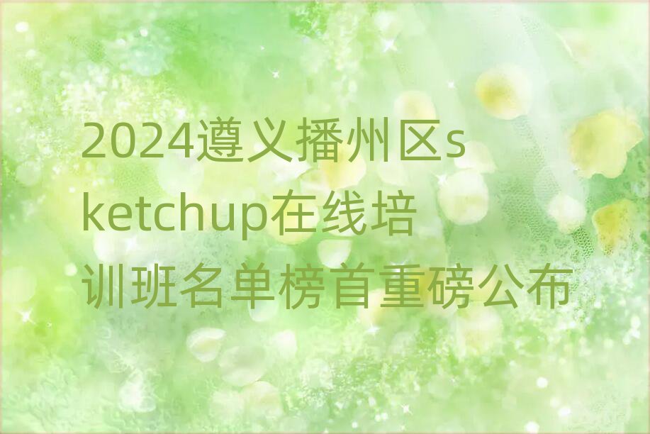 2024岥sketchupѵذ