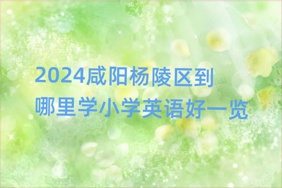 2024ѧСѧӢһ