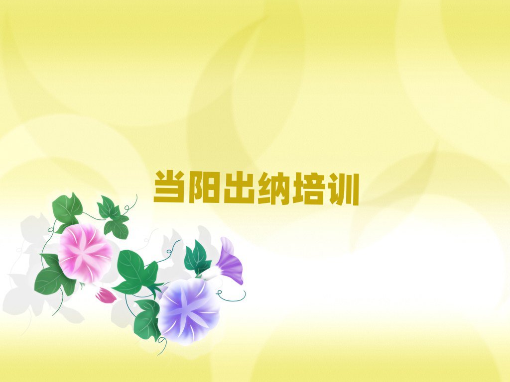 12月当阳出纳排名top10