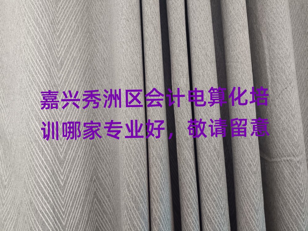 Ƶ㻯ѵļרҵ