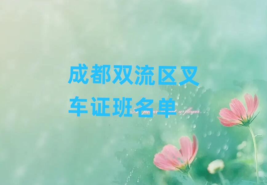 ɶ˫泵֤