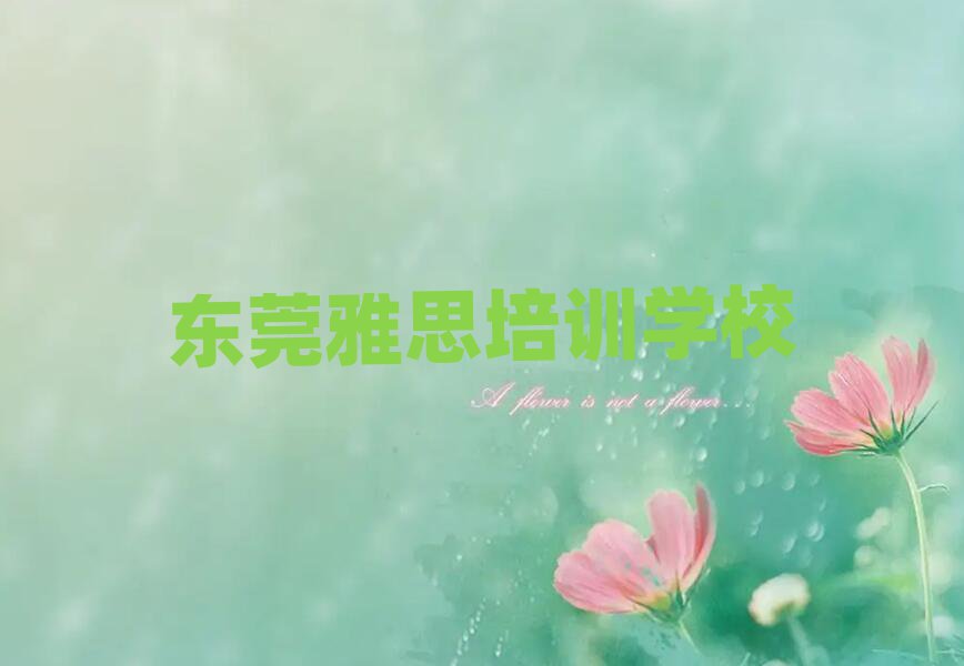 2024年东莞什么学校学雅思比较好