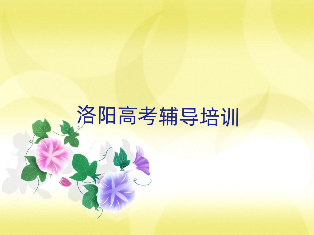 2024年洛阳瀍河回族区高考辅导培训周末推荐一览