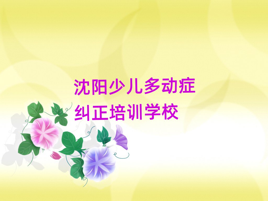 2024年沈阳少儿多动症纠正培训学校