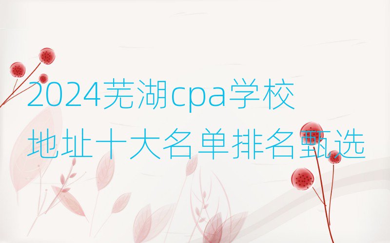 2024ߺcpaѧУַʮѡ