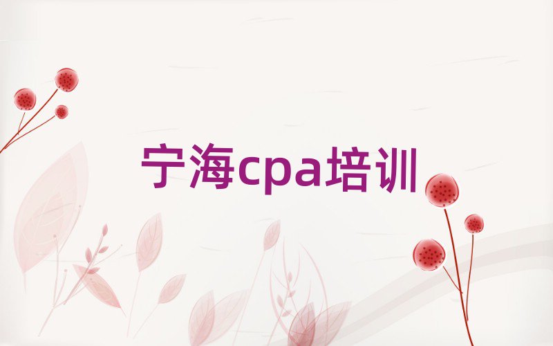 宁海沙市区cpa网上辅导机构哪家好