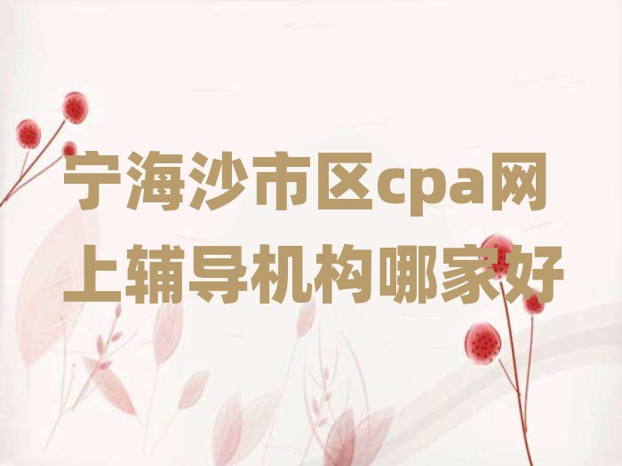 宁海沙市区cpa网上辅导机构哪家好
