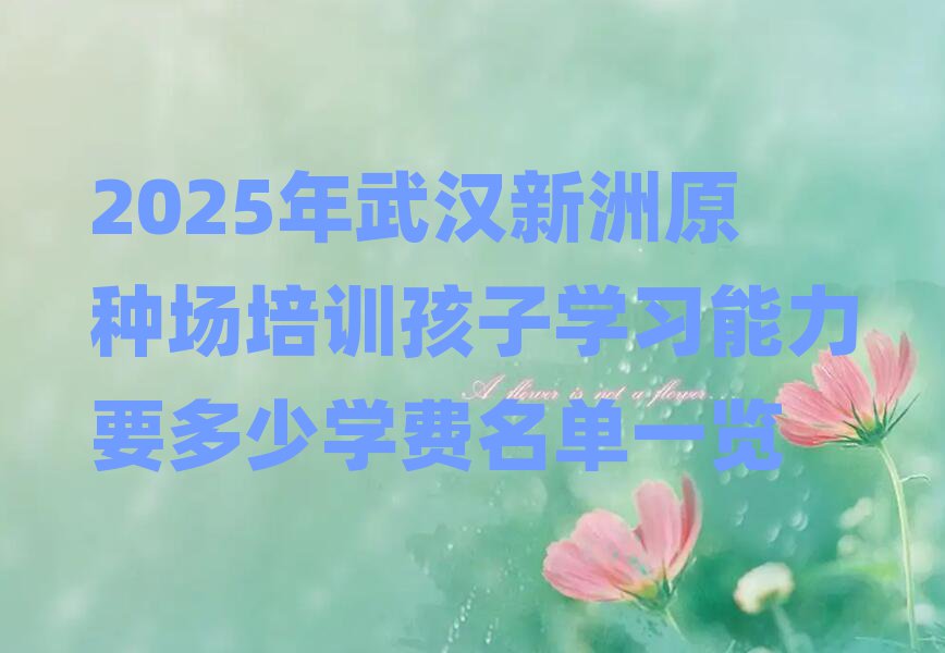 2025年武汉新洲原种场培训孩子学习能力要多少学费名单一览