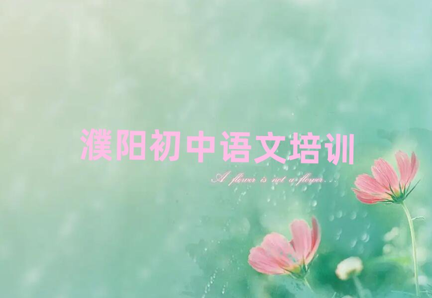 濮阳初中语文培训学习