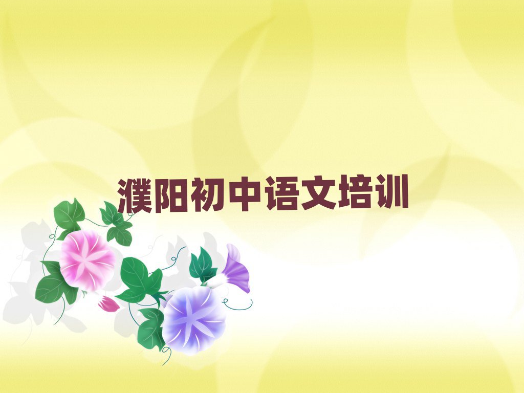 濮阳初中语文培训学习