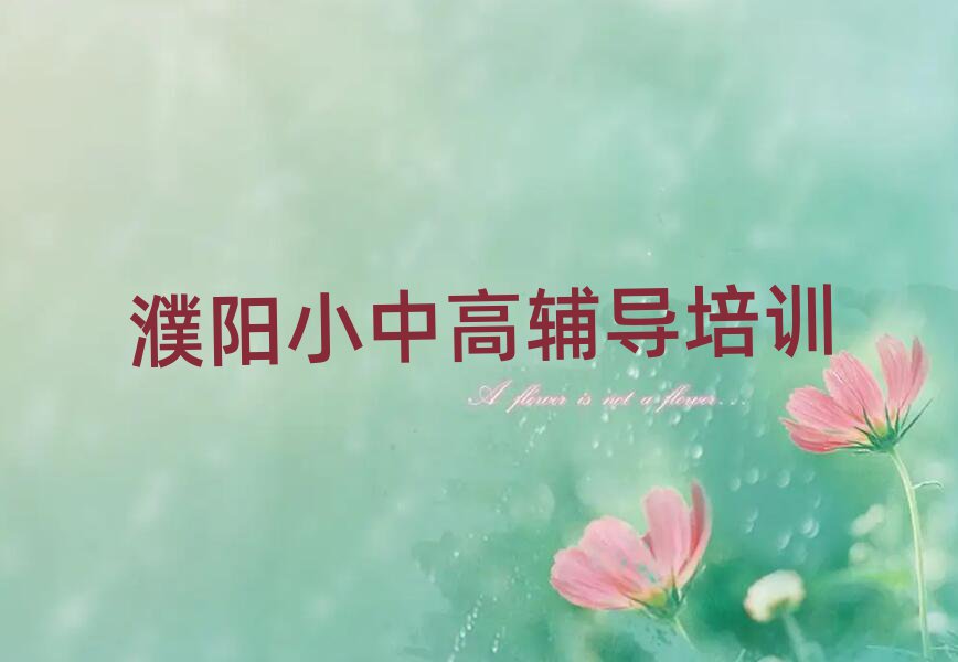 濮阳学小学数学好的学校名单总览公布一览表
