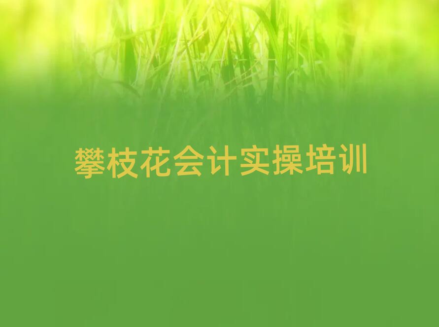 攀枝花东区会计做账学会计做账便宜的学校排名一览表