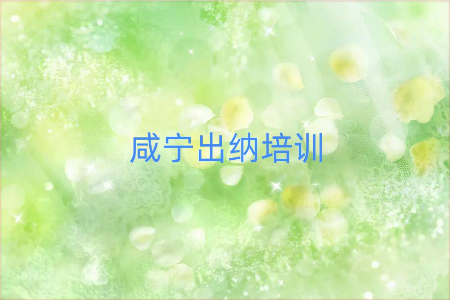 咸宁咸安区出纳在哪找出纳培训班排名前五