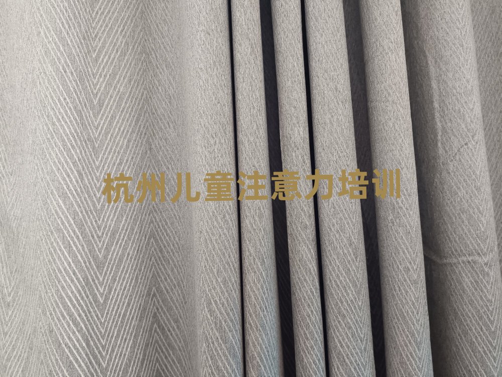 杭州滨江区有没有儿童注意力训练培训学校排名top10