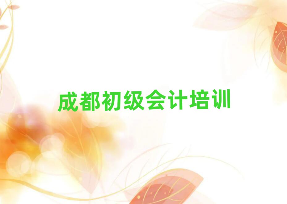 成都锦江区学初级会计一般学费多少钱一个月