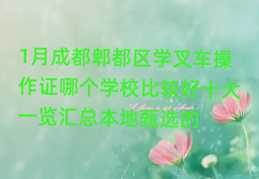 1³ɶۯѧ泵֤ĸѧУȽϺʮһܱѡ