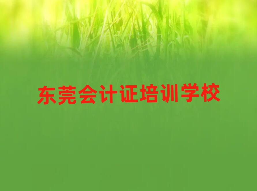 东莞会计证哪里会计证培训班实惠
