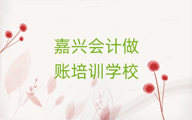 嘉兴秀洲区哪个会计做账学校比较好