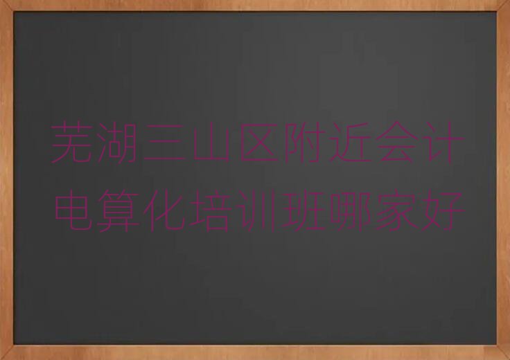 芜湖三山区附近会计电算化培训班哪家好