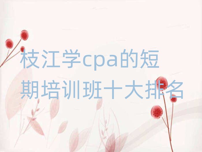 枝江学cpa的短期培训班十大排名