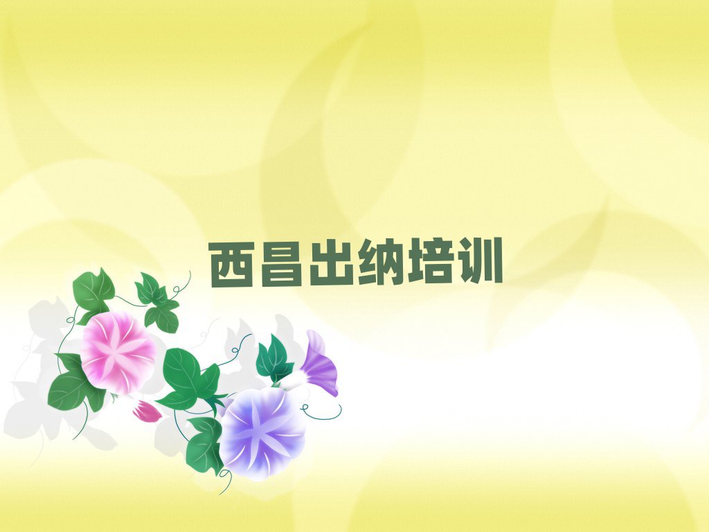 2025年西昌出纳培训班价格标准是多少钱排名top10