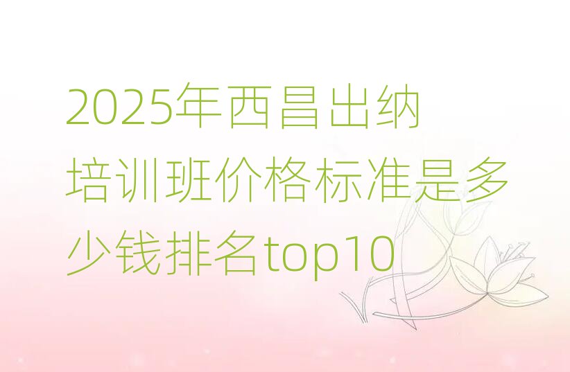 2025年西昌出纳培训班价格标准是多少钱排名top10