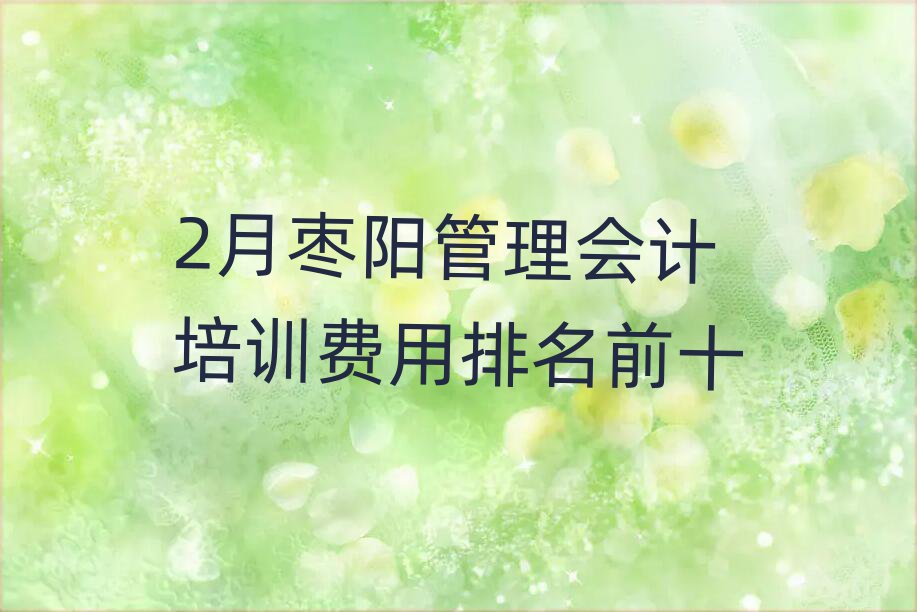 2月枣阳管理会计培训费用排名前十