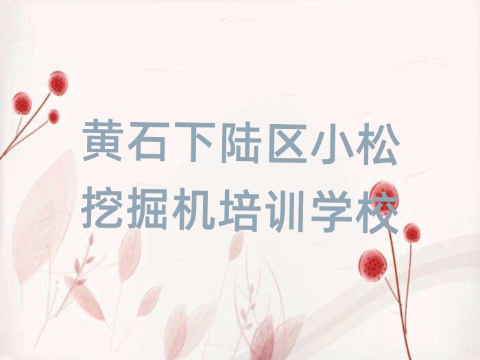 ʯ½ѧСھﱾʵһ