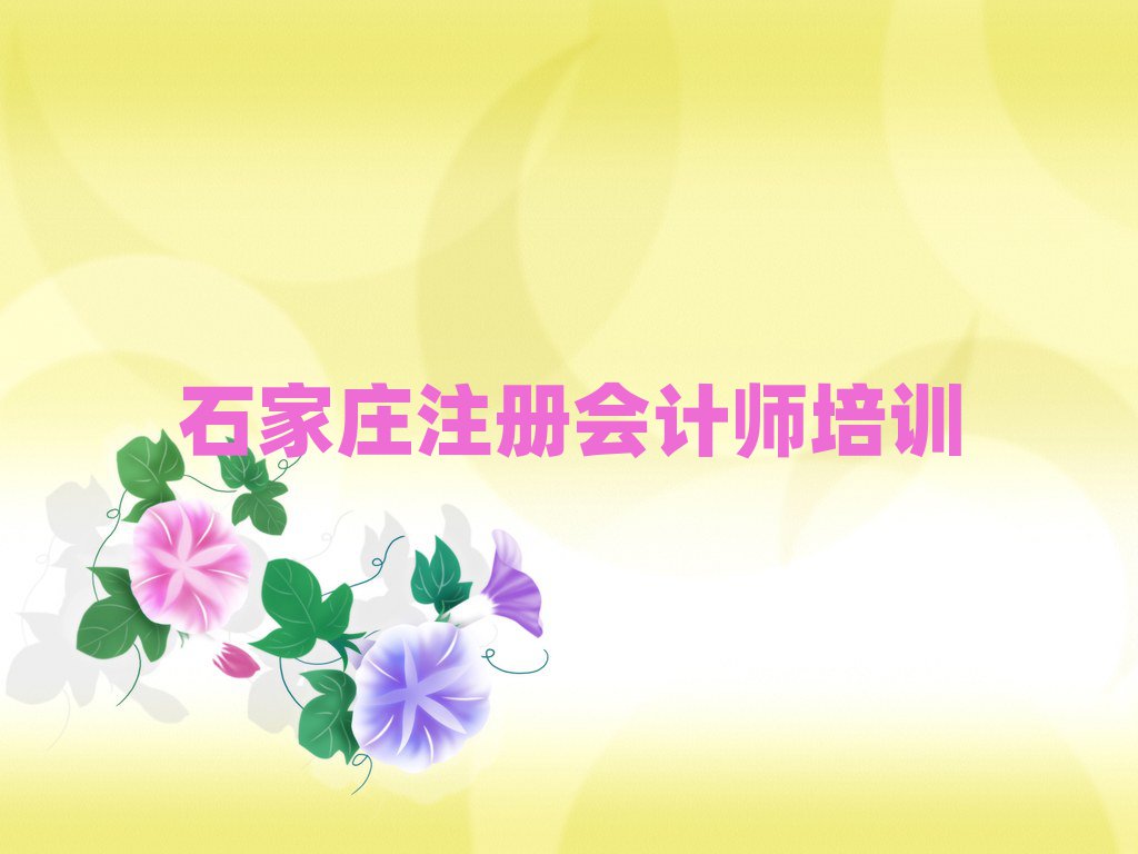 2025年石家庄学注册会计师班精选名单出炉