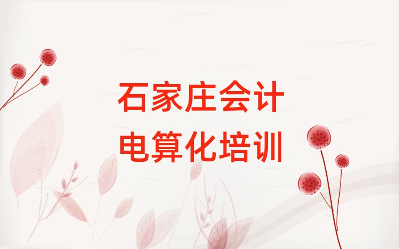 石家庄学会计电算化去哪好排名口碑好的
