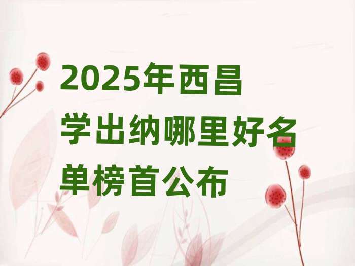 2025年西昌学出纳哪里好名单榜首公布