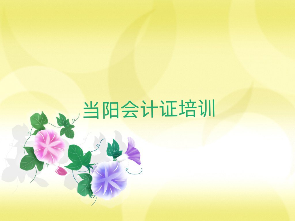 当阳会计证培训班去哪网站找