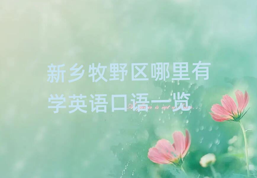 新乡牧野区哪里有学英语口语一览