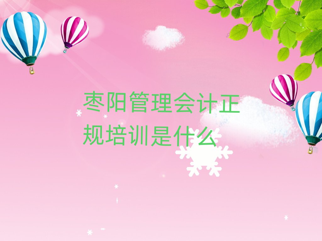 枣阳管理会计正规培训是什么